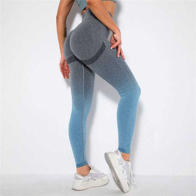 Ombré Seamless Leggings